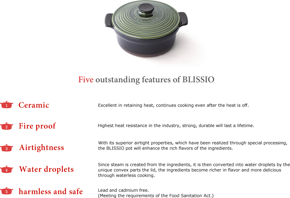 Five outstanding features of BLISSIO